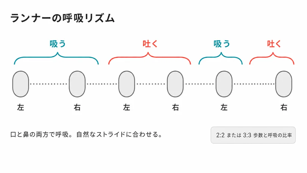 ランナーの呼吸リズム図。6つの足跡と吸う・吐くの弧線で2:2または3:3の歩数と呼吸の比率を表示。