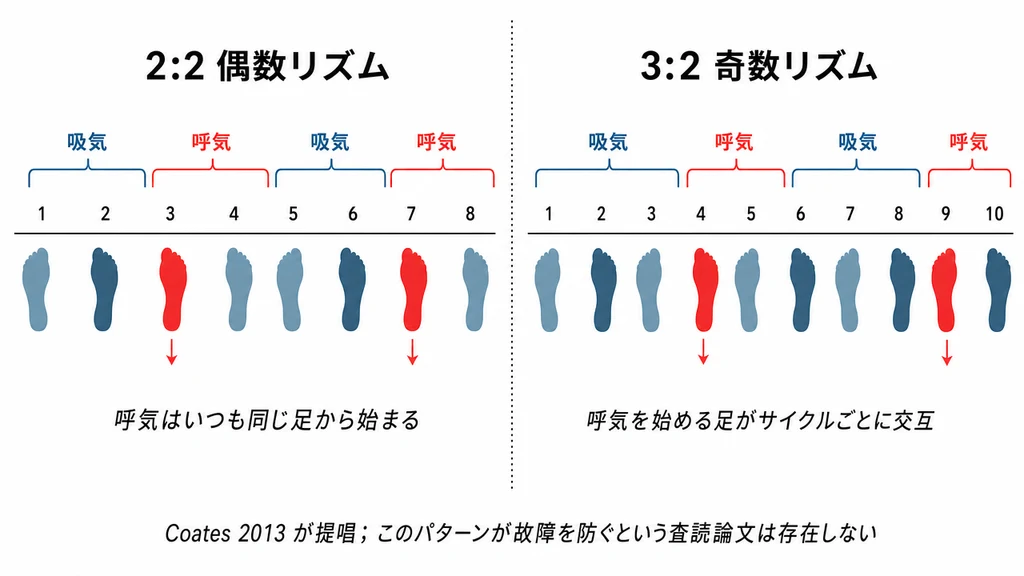 2:2 偶数リズムと 3:2 奇数リズム(Coates 2013 が提唱)を比較する 2 パネルのタイムライン情報図。左パネル:2:2 パターン、8 つの足跡と 2 つの吸気-呼気サイクル、呼気は常に同じ足から始まる(赤マーク)。右パネル:3:2 パターン、10 の足跡と 2 つのサイクル、呼気を始める足がサイクルごとに左右交互(赤マーク)。下部キャプション:このパターンが故障を防ぐという査読論文は存在しない。