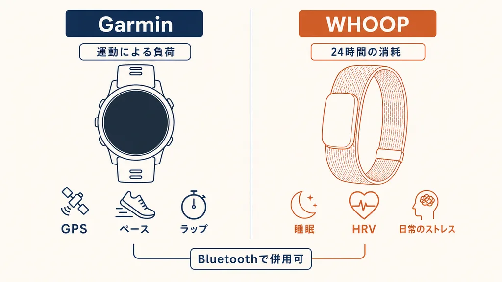 GarminとWHOOPの守備範囲のちがいを示す比較図。Garminは運動による負荷（GPS・ペース・ラップ）、WHOOPは24時間の消耗（睡眠・HRV・日常のストレス）を受け持ち、Bluetoothで併用できることを示す。
