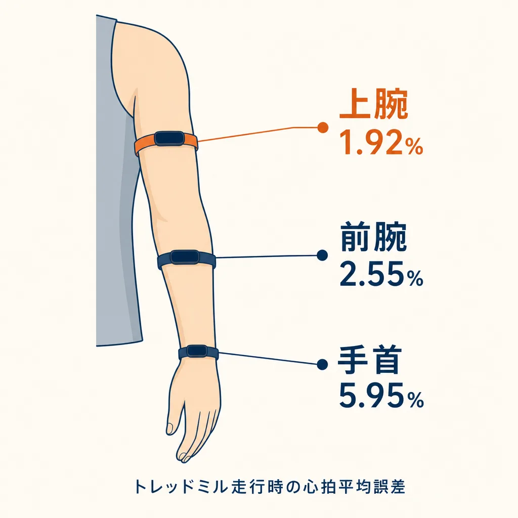 腕の装着位置と心拍誤差の図解。同じバンドを手首に着けると誤差5.95%、前腕で2.55%、上腕で1.92%となり、上腕がオレンジでハイライトされている。トレッドミル走行時の平均誤差。